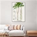 Picture of Palm Botanical _GroupedProduct_Rectangle_Portrait_Canvas_Framed_