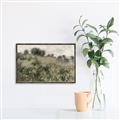 Picture of Silent Still _GroupedProduct_Rectangle_Landscape_Canvas_Framed_