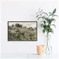 Picture of Silent Still _GroupedProduct_Rectangle_Landscape_Canvas_Framed_