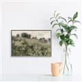 Picture of Silent Still _GroupedProduct_Rectangle_Landscape_Canvas_Framed_