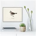 Picture of Parus _GroupedProduct_Rectangle_Landscape_Canvas_Framed_