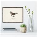 Picture of Parus _GroupedProduct_Rectangle_Landscape_Canvas_Framed_
