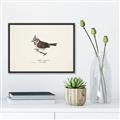 Picture of Parus _GroupedProduct_Rectangle_Landscape_Canvas_Framed_