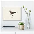 Picture of Parus _GroupedProduct_Rectangle_Landscape_Canvas_Framed_