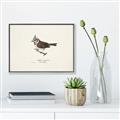 Picture of Parus _GroupedProduct_Rectangle_Landscape_Canvas_Framed_