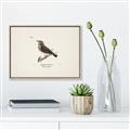 Picture of Wood Lark Bird _GroupedProduct_Rectangle_Landscape_Canvas_Framed_