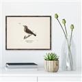 Picture of Wood Lark Bird _GroupedProduct_Rectangle_Landscape_Canvas_Framed_