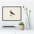Picture of Wood Lark Bird _GroupedProduct_Rectangle_Landscape_Canvas_Framed_
