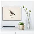Picture of Wood Lark Bird _GroupedProduct_Rectangle_Landscape_Canvas_Framed_