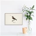 Picture of Wood Lark Bird _GroupedProduct_Rectangle_Landscape_Canvas_Framed_