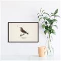 Picture of Wood Lark Bird _GroupedProduct_Rectangle_Landscape_Canvas_Framed_