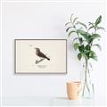 Picture of Wood Lark Bird _GroupedProduct_Rectangle_Landscape_Canvas_Framed_