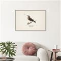 Picture of Wood Lark Bird _GroupedProduct_Rectangle_Landscape_Canvas_Framed_