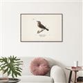 Picture of Wood Lark Bird _GroupedProduct_Rectangle_Landscape_Canvas_Framed_