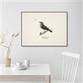 Picture of Wood Lark Bird _GroupedProduct_Rectangle_Landscape_Canvas_Framed_