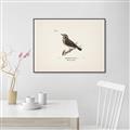 Picture of Wood Lark Bird _GroupedProduct_Rectangle_Landscape_Canvas_Framed_