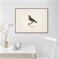 Picture of Wood Lark Bird _GroupedProduct_Rectangle_Landscape_Canvas_Framed_