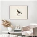 Picture of Wood Lark Bird _GroupedProduct_Rectangle_Landscape_Canvas_Framed_