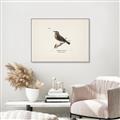 Picture of Wood Lark Bird _GroupedProduct_Rectangle_Landscape_Canvas_Framed_