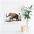 Picture of Indian Elephant _GroupedProduct_Rectangle_Landscape_Unframed_Print_Only_