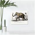 Picture of Indian Elephant _GroupedProduct_Rectangle_Landscape_Unframed_Print_Only_