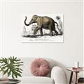 Picture of Indian Elephant _GroupedProduct_Rectangle_Landscape_Unframed_Print_Only_