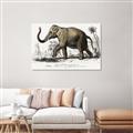 Picture of Indian Elephant _GroupedProduct_Rectangle_Landscape_Unframed_Print_Only_