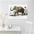 Picture of Indian Elephant _GroupedProduct_Rectangle_Landscape_Unframed_Print_Only_