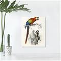 Picture of Feathered Friends _GroupedProduct_Rectangle_Portrait_Unframed_Print_Only_