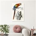 Picture of Feathered Friends _GroupedProduct_Rectangle_Portrait_Unframed_Print_Only_