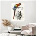 Picture of Feathered Friends _GroupedProduct_Rectangle_Portrait_Unframed_Print_Only_