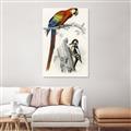 Picture of Feathered Friends _GroupedProduct_Rectangle_Portrait_Unframed_Print_Only_