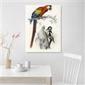 Picture of Feathered Friends _GroupedProduct_Rectangle_Portrait_Unframed_Print_Only_