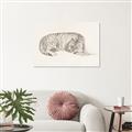 Picture of Tiger Time _GroupedProduct_Rectangle_Landscape_Unframed_Print_Only_