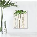 Picture of Palm Botanical _GroupedProduct_Rectangle_Portrait_Unframed_Print_Only_