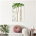 Picture of Palm Botanical _GroupedProduct_Rectangle_Portrait_Unframed_Print_Only_