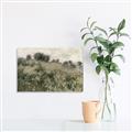 Picture of Silent Still _GroupedProduct_Rectangle_Landscape_Unframed_Print_Only_