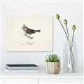 Picture of Parus _GroupedProduct_Rectangle_Landscape_Unframed_Print_Only_