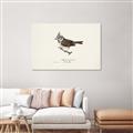 Picture of Parus _GroupedProduct_Rectangle_Landscape_Unframed_Print_Only_