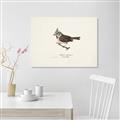 Picture of Parus _GroupedProduct_Rectangle_Landscape_Unframed_Print_Only_