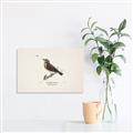 Picture of Wood Lark Bird _GroupedProduct_Rectangle_Landscape_Unframed_Print_Only_