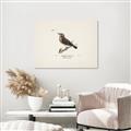 Picture of Wood Lark Bird _GroupedProduct_Rectangle_Landscape_Unframed_Print_Only_
