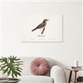 Picture of Turdus _GroupedProduct_Rectangle_Landscape_Unframed_Print_Only_