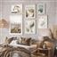 Roomshot