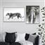 Roomshot