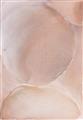 Picture of Peach Palette Bubbles _GroupedProduct_Rectangle_Portrait_Unframed_Print_Only_