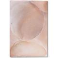 Picture of Peach Palette Bubbles _GroupedProduct_Rectangle_Portrait_Canvas_
