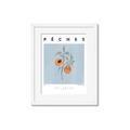Picture of Peach Fruit Fusion _GroupedProduct_Rectangle_Portrait_Framed_Matted_