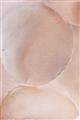 Picture of Peach Palette Bubbles _GroupedProduct_Rectangle_Portrait_Unframed_Print_Only_