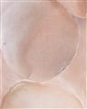 Picture of Peach Palette Bubbles _GroupedProduct_Rectangle_Portrait_Unframed_Print_Only_